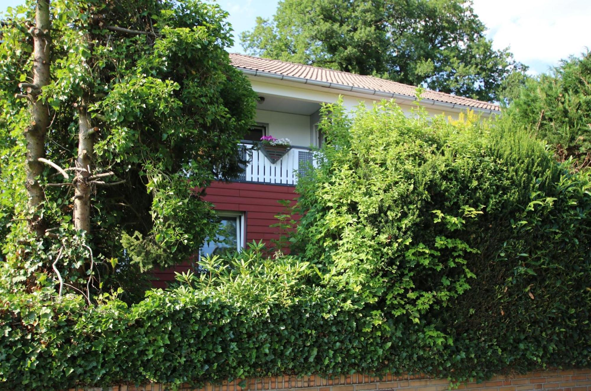 Ferienwohnung Zum Rosengarten West015 Westerwald Driedorf Esterno foto