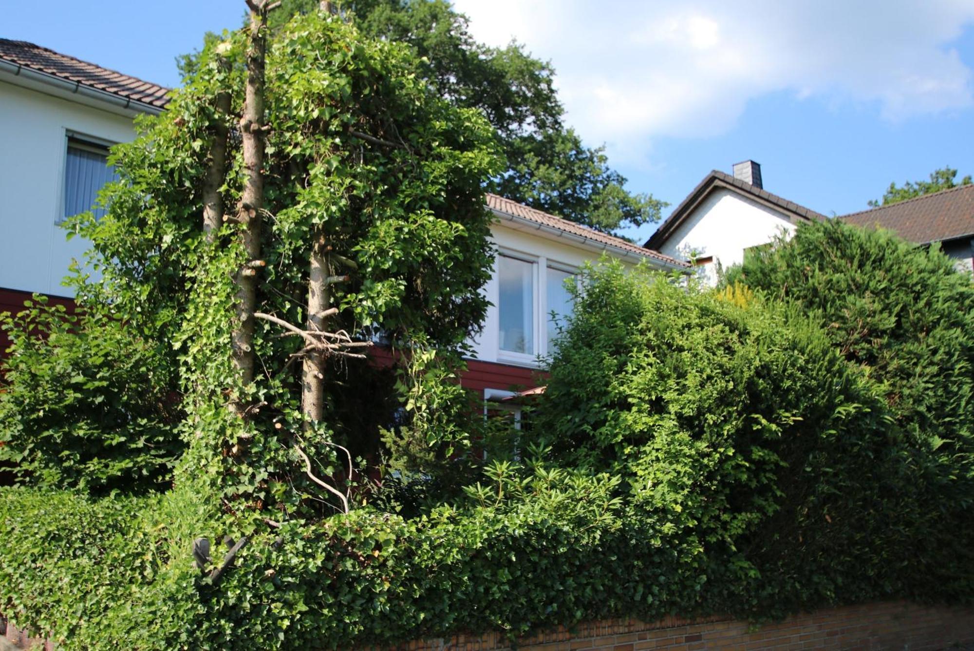 Ferienwohnung Zum Rosengarten West015 Westerwald Driedorf Esterno foto